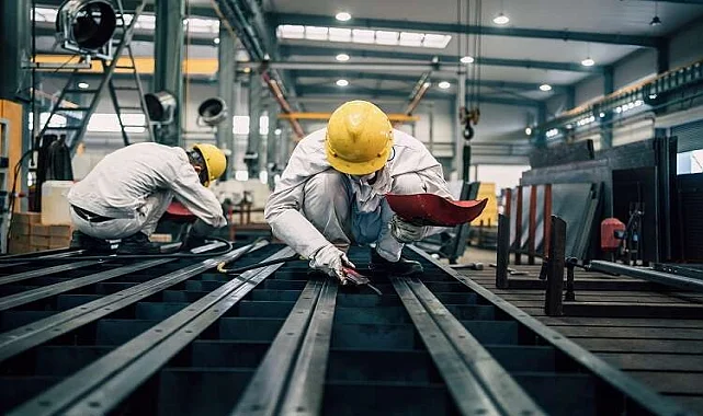 Yumurtalık Akrep İlaçlama